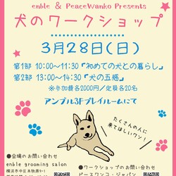 「犬のワークショップ」横浜本牧で開催！