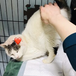 「無事に帰ってきた、らん丸くん。」サムネイル2