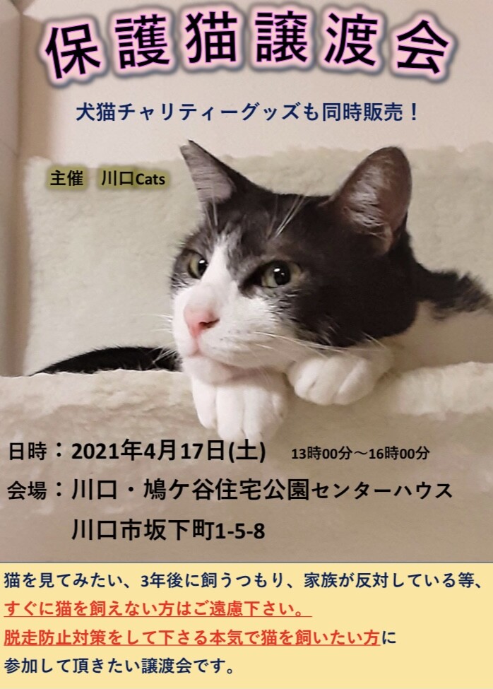 川口 鳩ヶ谷住宅公園 ほ」（川口Catsのイベント #11938） :: ペット 