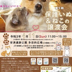 安満人倶楽部ペットグループ　犬猫うさぎ譲渡会とチャリティーバサー