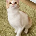 おしゃまな女の子マミちゃん　生後３～4か月
