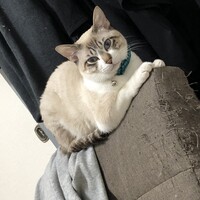 ミト