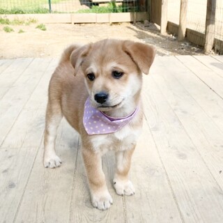 懐っこいユリちゃん　2ヶ月