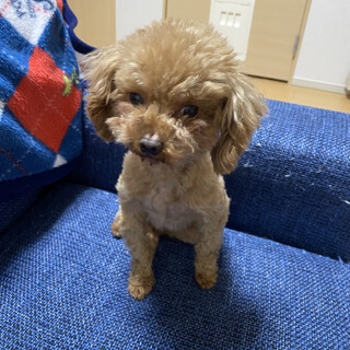 沢山のご応募ありがとうございました。