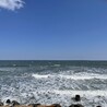 さくらぽんち