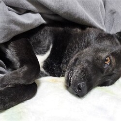 「うらめしい」サムネイル1