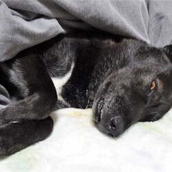 「うらめしい」サムネイル2