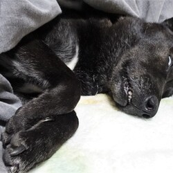 「うらめしい」サムネイル3