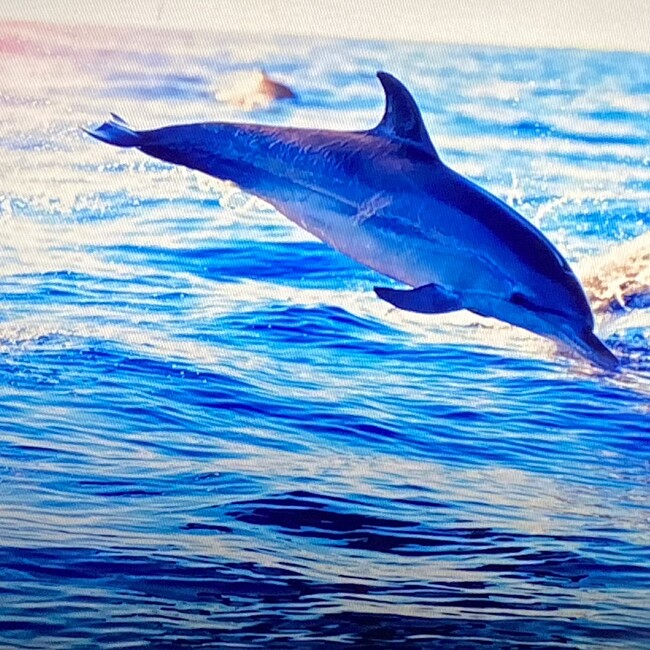 A.M.Yのカバー写真