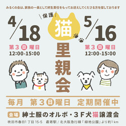保護ねこさんの里親会（犬猫譲渡会） サムネイル2