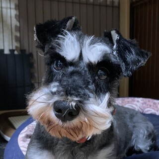 甘えたで可愛い女の子♪