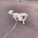 一旦募集締め切ります