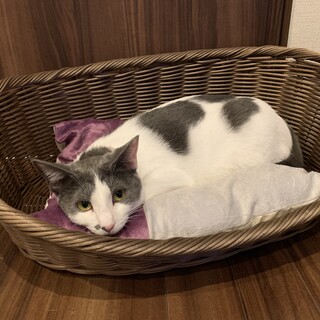 お膝が大好き甘えん坊な女の子ゆずちゃん♫