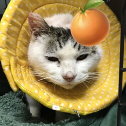 「朝のご挨拶からの一歩前へ！」サムネイル1