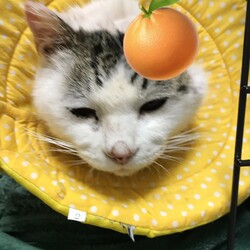 「朝のご挨拶からの一歩前へ！」サムネイル2