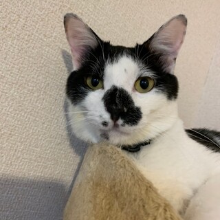 甘えん坊すぎる☆レビンくん