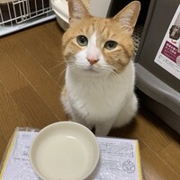 ももたろう