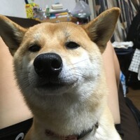 渡邉まる