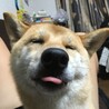 の写真