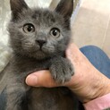 はっちゃん、しっかり者です