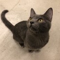 冬馬は、ベタベタの甘えん坊さんです