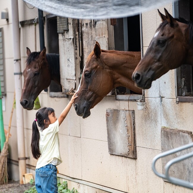 ベイビーマリーのカバー写真