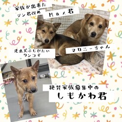 「倉敷っ子、朝陽(あさひ)君の幸せ便り」サムネイル3