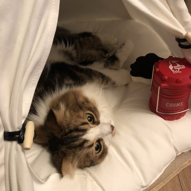 じろーんのカバー写真