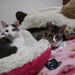 「あまみの事」サムネイル2