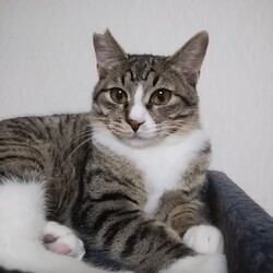 「あまみの事」サムネイル3