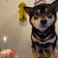 えいごろう