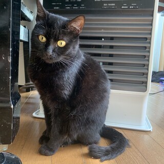 子育てを頑張った肝っ玉母さん玉姫様