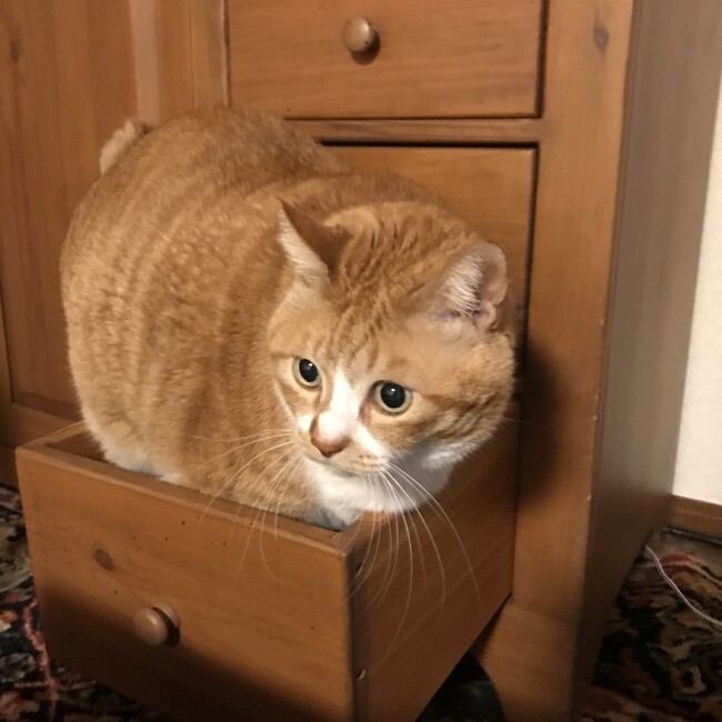 milkyboyのカバー写真