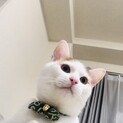 甘えん坊の元気な男の子