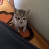 生後1ヶ月と2週間くらいの写真