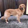 玄関前で。