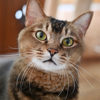 大きな可愛いボクをよろしく(*^^*)