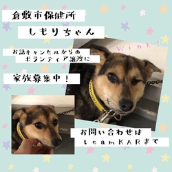 「2021年3月29日の倉敷から→全頭卒業！」サムネイル2