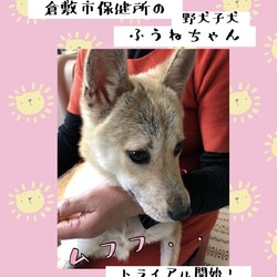 「2021年3月29日の倉敷から→全頭卒業！」サムネイル3