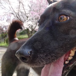 「不発撮影会」サムネイル1