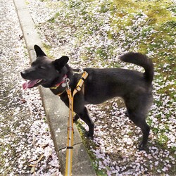 「不発撮影会」サムネイル2