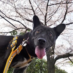 「不発撮影会」サムネイル3