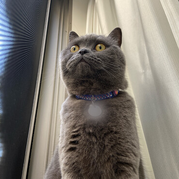 の写真