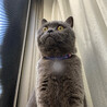 の写真