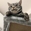 甘えん坊のコロコロした男の子