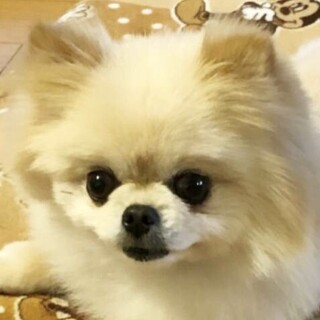 幸せになりました♡ありがとうございました