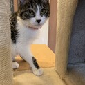 パッチリお目目☆サラちゃん
