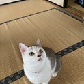 困り顔でも明るい花❣️