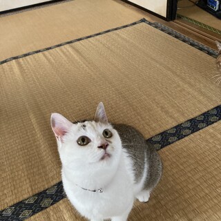 困り顔でも明るい花❣️