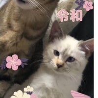 ウキ様